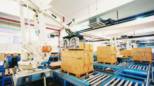 全国第18 洋河股份荣登 2022中国轻工业二百强企业 榜单