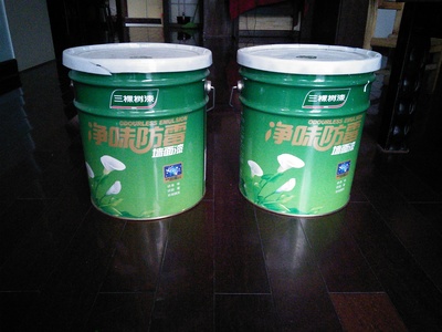 中国十大油漆品牌排行榜 选购油漆有什么好的妙招