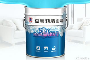 装修油漆选购支招 装修油漆品牌推荐