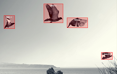 天辰娱乐登录视频标注